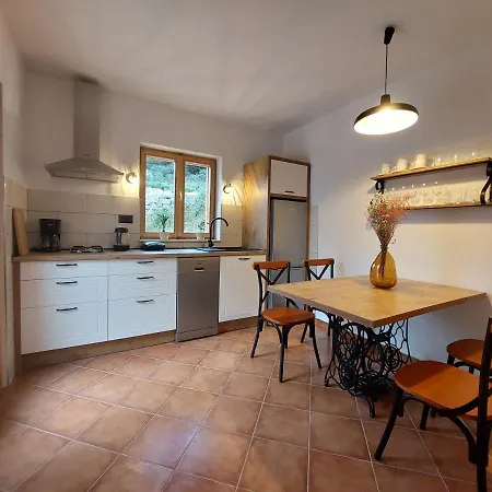 Vila Olive Garden House *