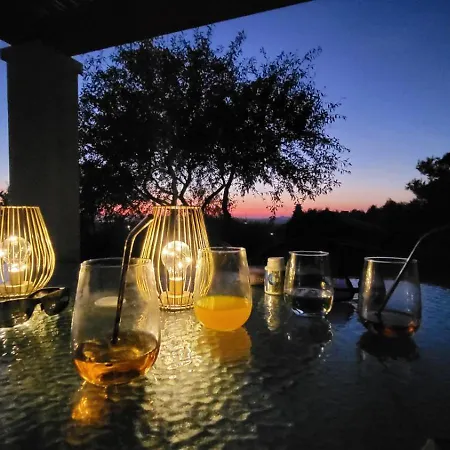 Vila Olive Garden House