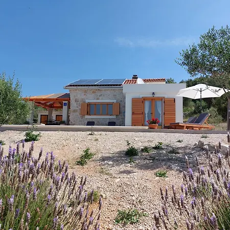 Vila Olive Garden House