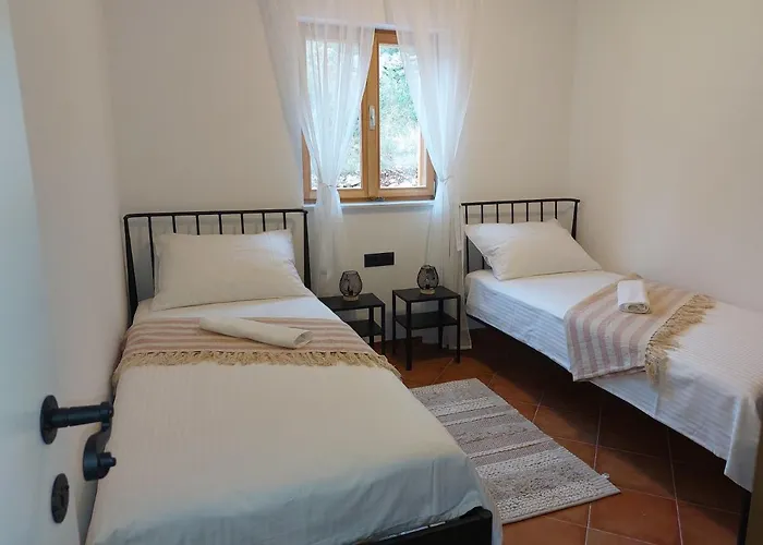 Villa Olive Garden House *