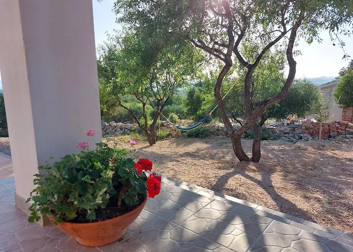 Olive Garden House וילה