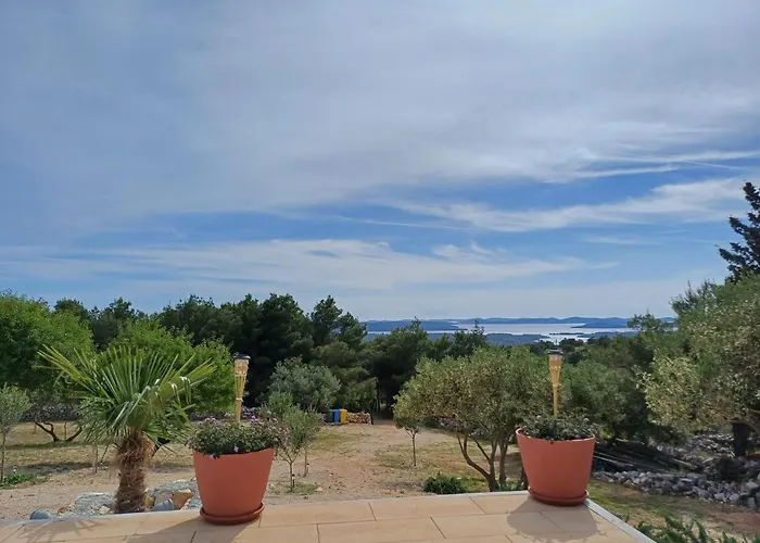 Olive Garden House *