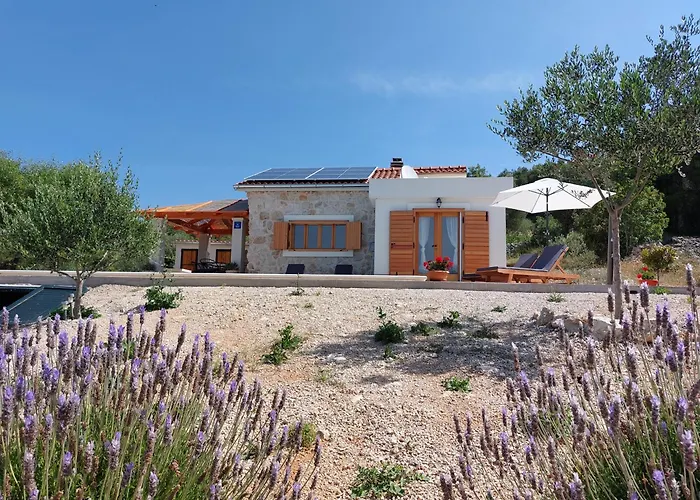 Villa Olive Garden House